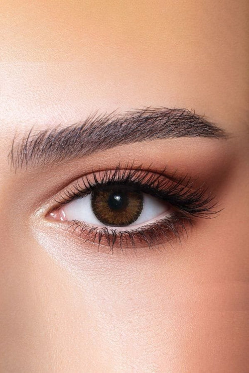 Contour Hazel
