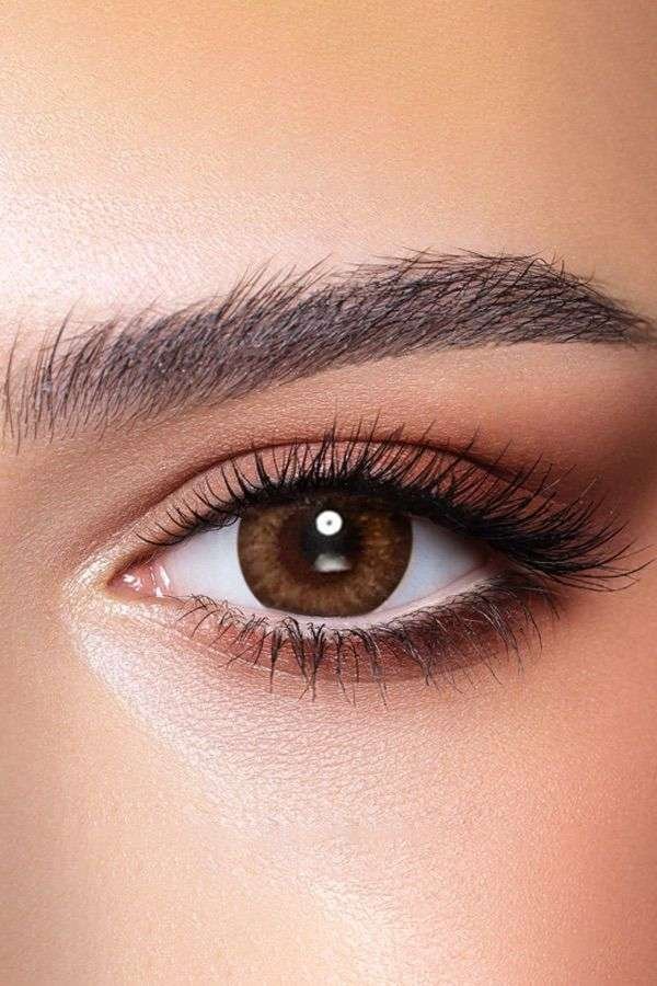 Almond Brown